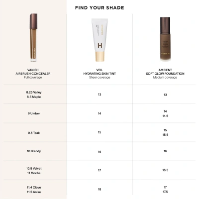 Vanish Airbrush Concealer